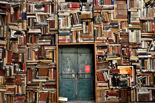 knihovna se starÃ½mi knihami